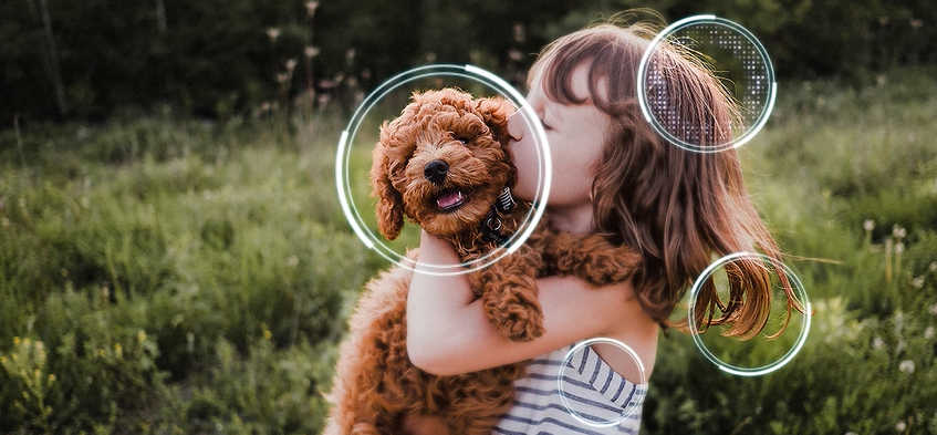 Enjoy series and movies in 4K resolution